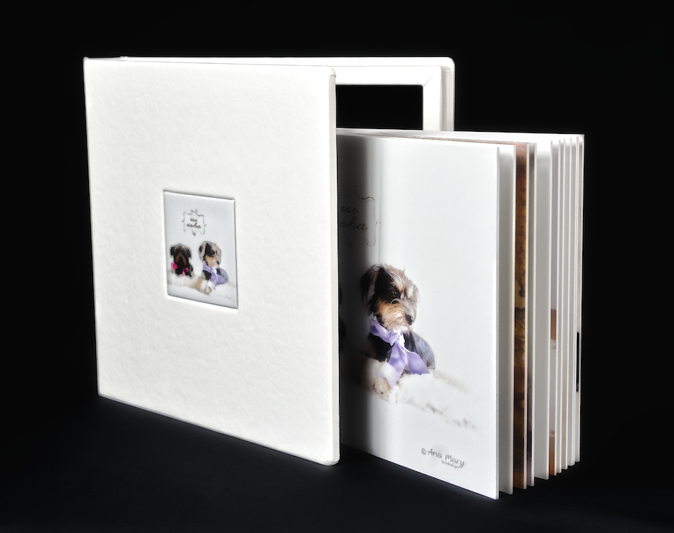 TotFoto - Album Big Book